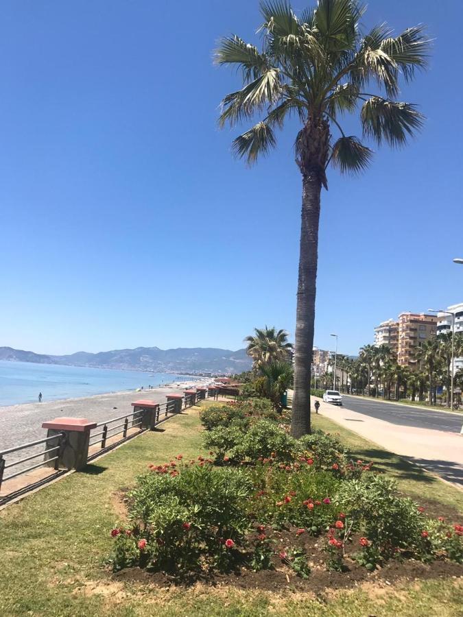 Empire Residence Alanya/Mahmutlar 50M От Моря Bagian luar foto